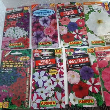 nərgiz gülü satışı: Məhsul: Petunya toxumları – müxtəlif rəng və sort qarışıqları Təsvir — 2