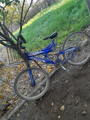 sədərək velosiped satışı 2025: Məhsul: “Olympia” markalı uşaq/yeniyetmə velosipedi – ehtiyat — 2