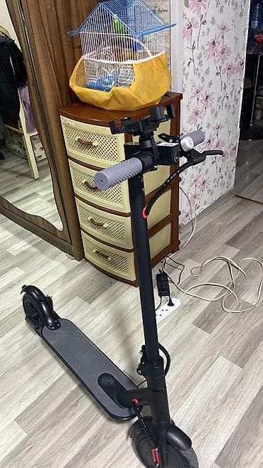 Şəhər içi rahat hərəkət üçün elektrikli skuter - Rəng: qara, boz