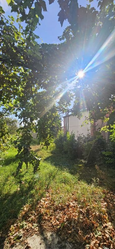 аренда продажа земельных участков: 48 sot, Kənd təsərrüfatı, Kupça (Çıxarış) — 11