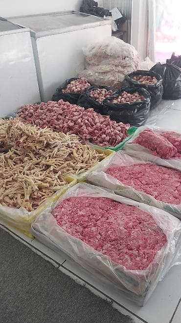 Itdercun En ucuz yem bizde Magaza Kurdexanida yerlesir Çatdirilma var