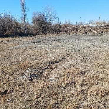 Qarajlar: 30 sot, Tikinti, Mülkiyyətçi, Bələdiyyə — 4