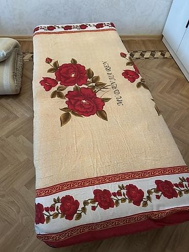 Раскладушки: Б/у, Раскладушка с матрасом — 1