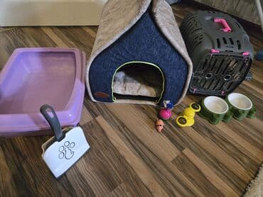 pişik qum qabı: Tek yuva 100 alinib hamisi test 100 verilir Cox az isdifade olunub — 2