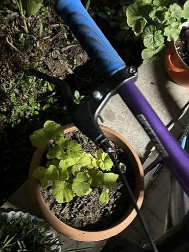 protein qiyməti: Salam velosped 1 ay olsr hec yigilmuyib bez problem pedali qiriqdi 5 — 8