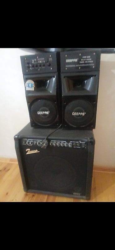 GEEPAS professional akustik sistemi + ZOOMYX (amfi/komb) səs — 2
