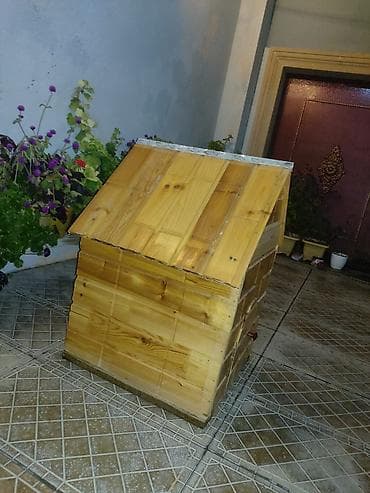 it ucun geyim: Pişik üçün əl işi yuva satılır 30 azn endirim olar — 3