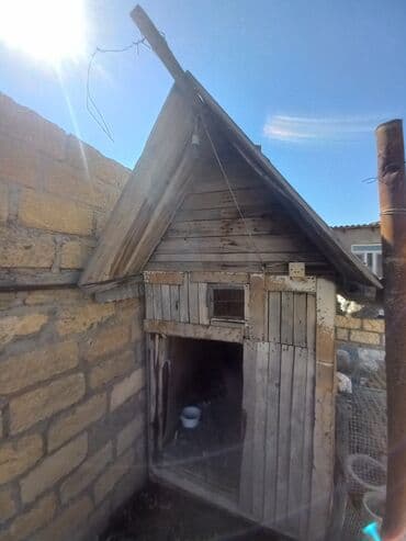 it yuvası: Salamaleykum gördüyünüz qus veya it toyuq cuce bütün heyvanlara uygun — 1