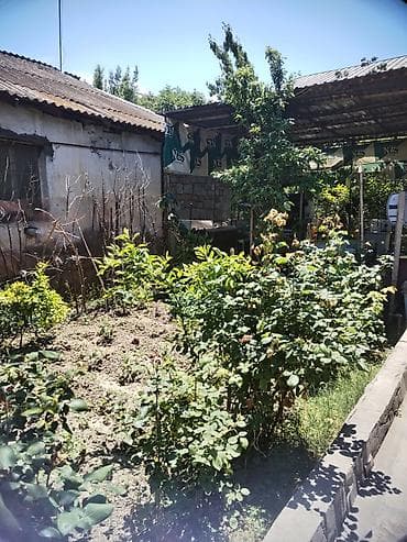 agac satilir: Mingeçevir şəhəri həyət evi satılır. Ünvan H. Z. TAĞIYEV Ev 28(keçmiş — 3
