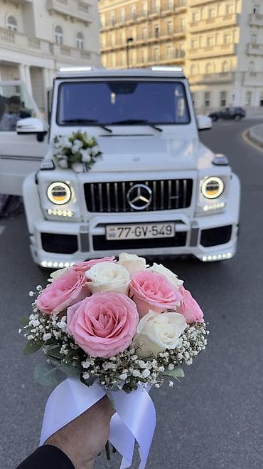 qaz plitələrinin təmiri: Günlük, Mercedes — 8
