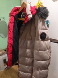 kurtkalar 2021: TƏZƏ — 1