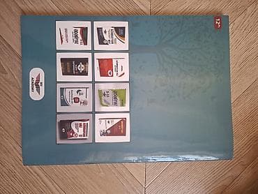 testir: Azərbaycan dili 9-cu sinif, 2019 il — 2