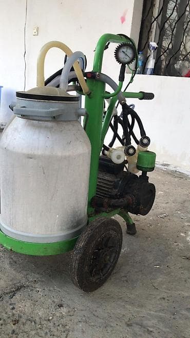 Hazır biznes: Tək bidon — 4