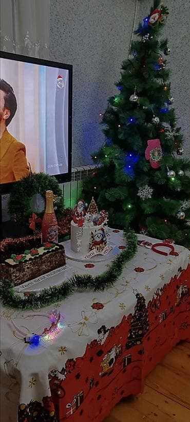 30 yas sekilleri: Yeni alınıb, şam ağacı — 1