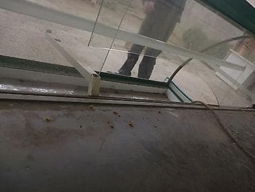 Biznes üçün avadanlıq: Sənaye soyuducu vitrin – 2 qapılı servis tipli (işlek veziyetdədi bir — 3