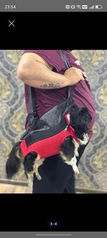 pişik daşıma cantası: Məhsul: Kiçik itlər üçün ön daşıma çantası/kenguru Qeyd: Məhsul — 3