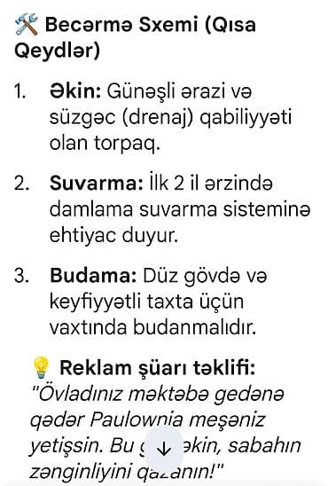 etotu bitkisi: Paulownia Tomentosa toxumları – premium sort Məhsul: - Paket: zipli — 6