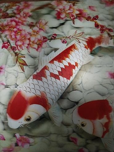 hacker sekilleri: Dekorativ divar posteri – “Koi balıqları və sakura çiçəkləri” mövzulu — 3