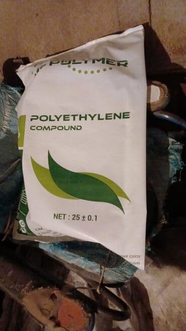 odun sobası bakı: Bu növ salafanin alişi — 4