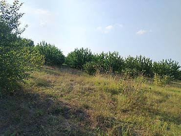 взять кафе в аренду: 180 соток Для сельского хозяйства, Водопровод — 4