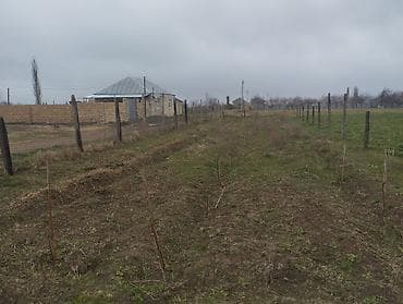 kiraye gence: 5 sot, Tikinti, Mülkiyyətçi, Kupça (Çıxarış), Texniki pasport — 9