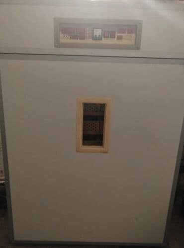 Digər kənd təssərüfat avadanlığı: Yumurta inkubatoru – iri tutumlu, şaquli kabinet tipli model — 1