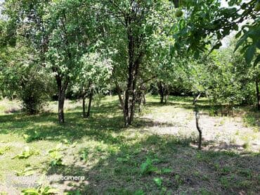 şabran torpaq: 10 sot, Tikinti, Mülkiyyətçi, Kupça (Çıxarış) — 17