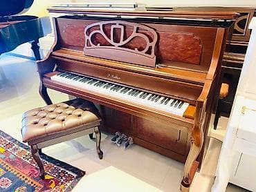 PIANO AKUSTIK. Royal Musiqi Alətleri salonu sizlərə geniş çeşiddə