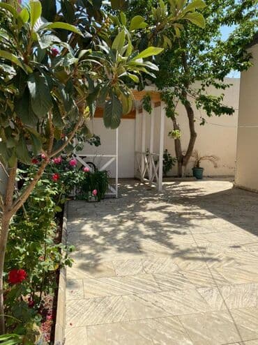 şəkidə ev elanları: 3 otaqlı, 100 kv. m, Yeni təmirli — 11