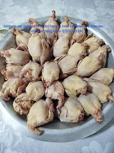 Məhsul: bildirçin Təsvir: - Satışda həm diri, həm də tam təmizlənmiş