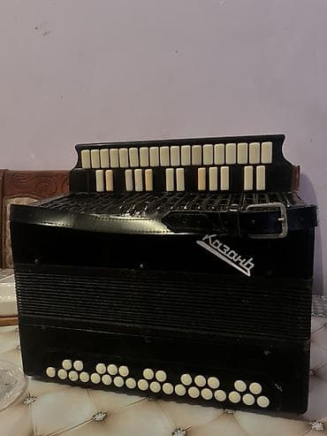 Аккордеоны: Акустический Аккордеон, Бесплатная доставка — 3