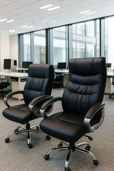 dərin boşqab: Yeni, Təkərli, Qolları tənzimlənmir, Dəri — 1