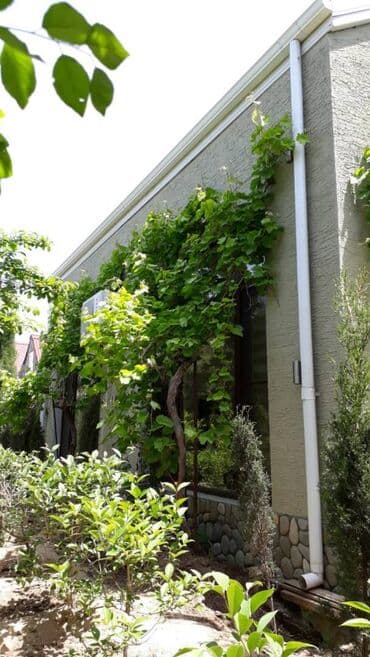 qaracuxurda ev: 200 kv. m, 5 otaqlı — 26