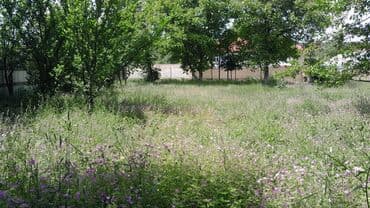 аренда и продажа недвижимости: 10 соток, Для сельского хозяйства, Риэлторам не беспокоить, Купчая — 1