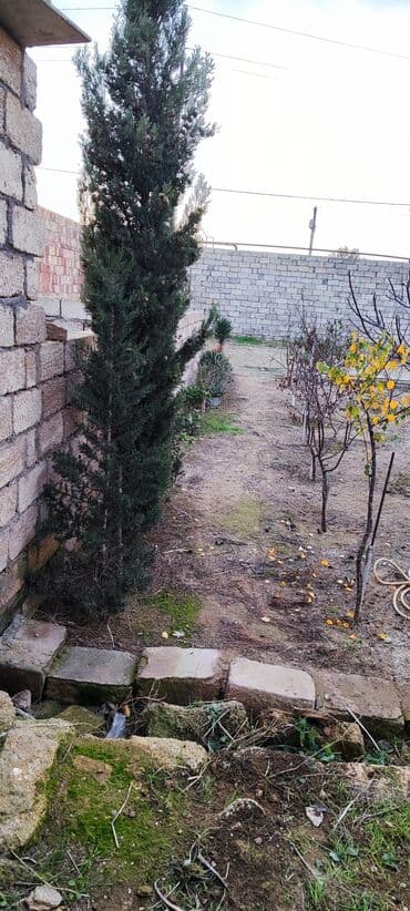 turkanda evlər: Bakı, Türkan qəs., 150 kv. m, 5 otaqlı, Hovuzsuz, Artezian quyusu, İnternet, Su — 8