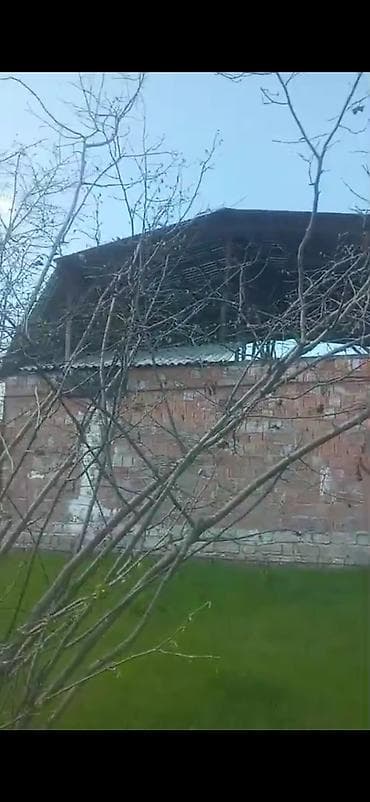 dede qorqud qesebesi: Kənd təsərrüfatı — 6