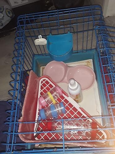 ev dovşan: Heyvan qəfəsi və aksesuar dəsti - Material: mavi metal karkas, möhkəm — 4