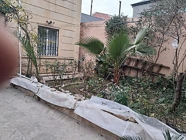 finiski evlər: 180 kv. m, 4 otaqlı, Kombi, Qaz, İşıq — 3