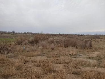 kohne tikili evler: 30000 sot, Kənd təsərrüfatı, Maklerlər narahat etməsin, Müqavilə — 5