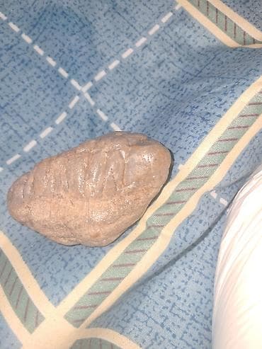 masa usdu kapter: Toplanmış təbii daşlar – dekor və kolleksiya üçün - Set: 1 böyük daş — 8