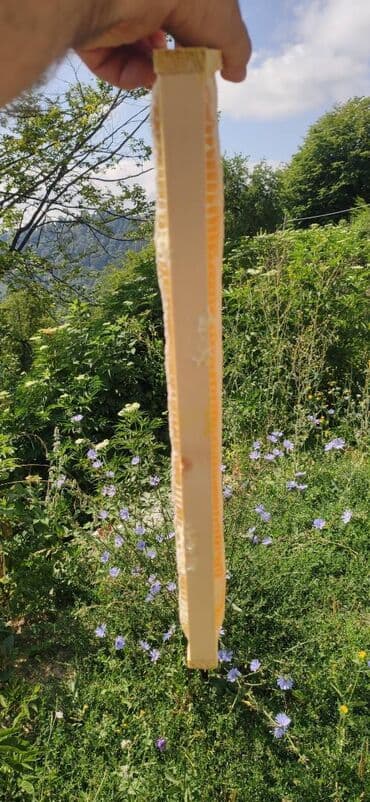 продается мед: ELF BEE'S 1977 ECO-PRODUCT FOR HEALTH AND LONGEVITY Tovuzun — 17