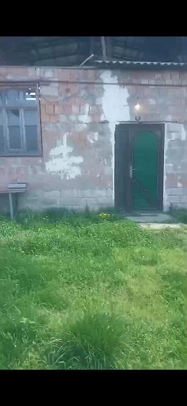 dede qorqud qesebesi: Kənd təsərrüfatı — 4