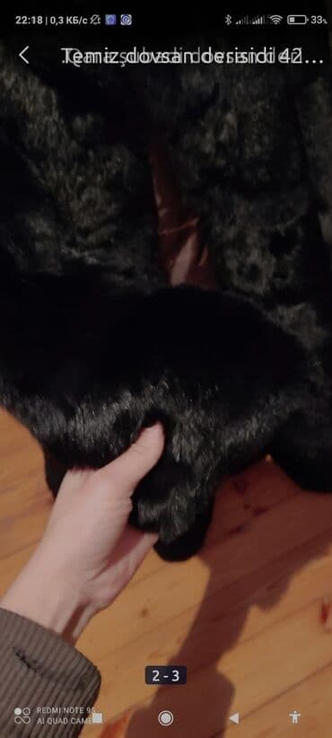 kurta: TECILI SATILIR ona gore ucuz qoymusam.qiymet sondu. dovsan dərisidi — 1