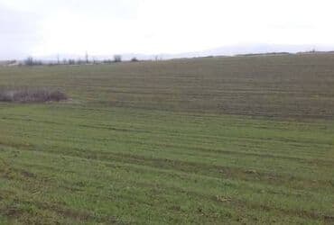 аренда и продажа недвижимости: 10 соток, Собственник, Бялядия (муниципалитет) — 1