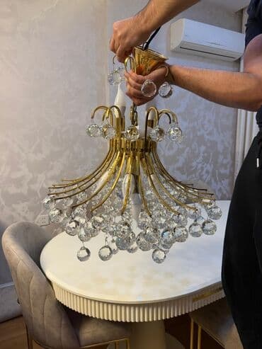 Biologiya: Çılçıraq, 10 və daha çox lampa, Metal — 1