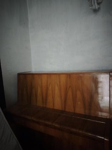 gitara sim: Ağac finişli pianino korpusu - Klassik üslubda, parlaq laklı ağac — 1