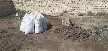 Təbii Quru Mal Peyini Temiz Hazir yigilmis Kiselerdedi Ağaca Qazona