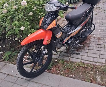 moto usta: Moon brand 50 sm3 — 5
