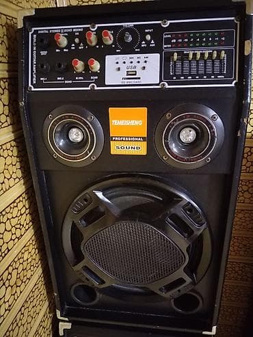 Mikrofonlar: TEMEISHENG Professional Sound – Karaoke və tədbirlər üçün səs sistemi — 2