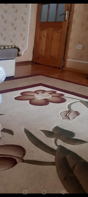 ayicik sekilleri: Xalça Dekorativ — 1